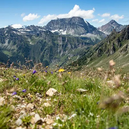 La Vetta סן דומניקו